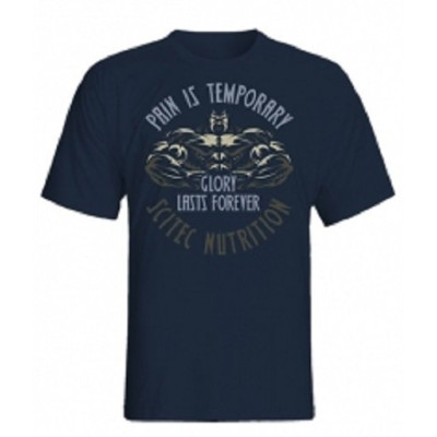 Scitec T-Shirt "Pain Is Temporary" blau