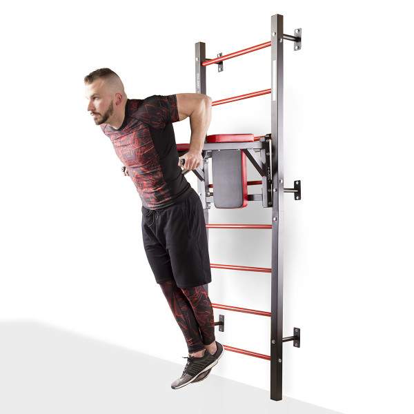 DWL9867 MULTIFUNCTIONAL LADDER HMS