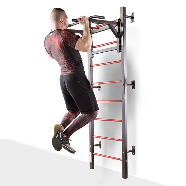 DWL9867 MULTIFUNCTIONAL LADDER HMS