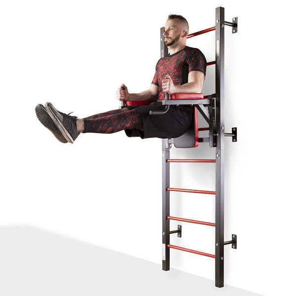 DWL9867 MULTIFUNCTIONAL LADDER HMS