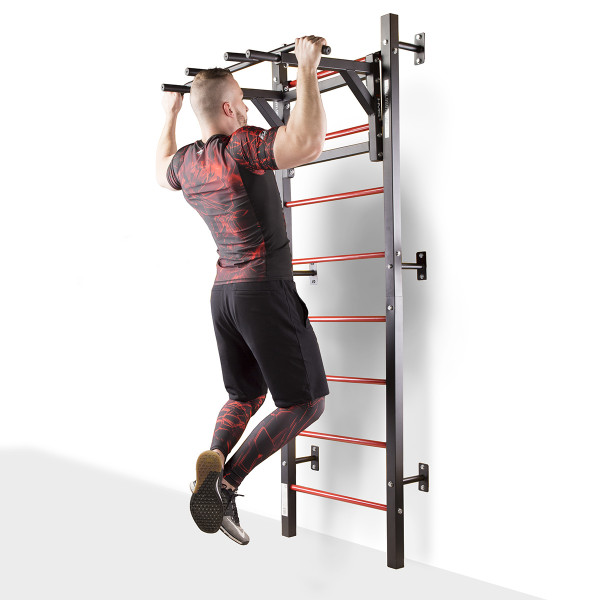 DWL9867 MULTIFUNCTIONAL LADDER HMS
