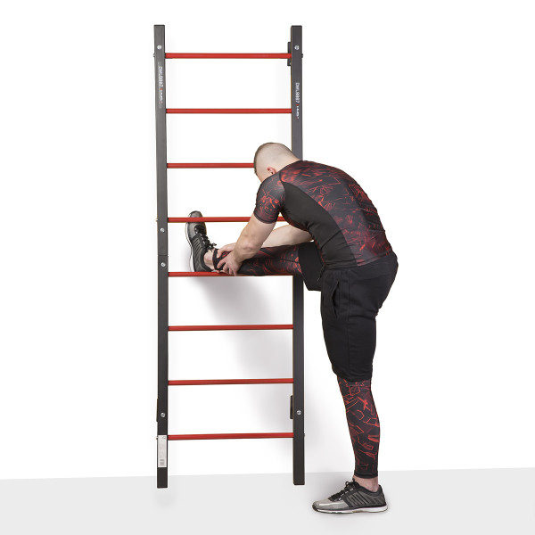 DWL9867 MULTIFUNCTIONAL LADDER HMS