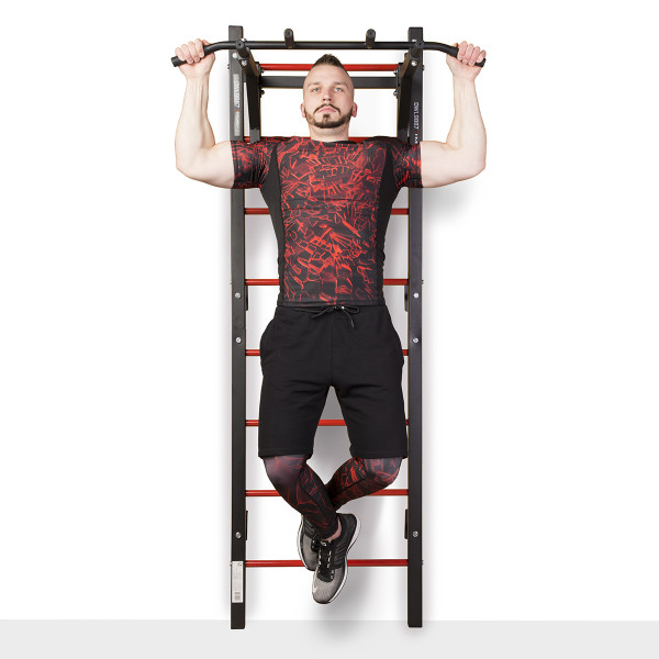 DWL9867 MULTIFUNCTIONAL LADDER HMS