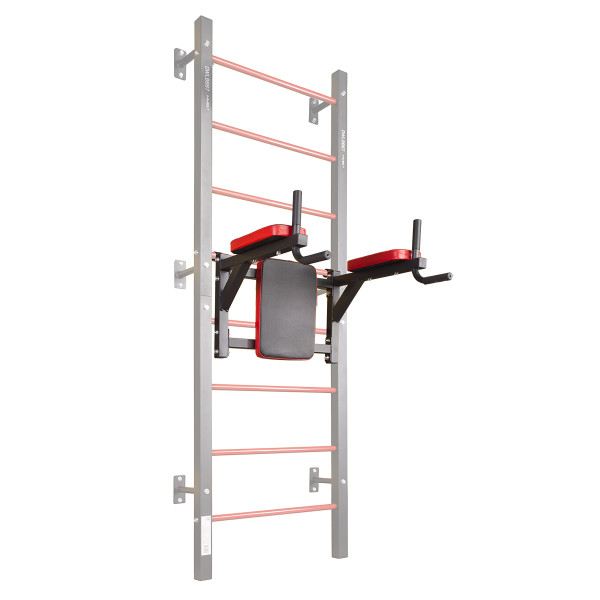 DWL9867 MULTIFUNCTIONAL LADDER HMS