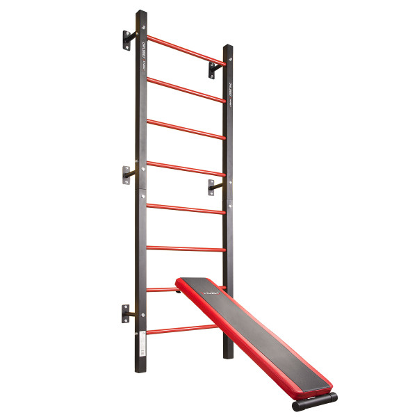 DWL9867 MULTIFUNCTIONAL LADDER HMS