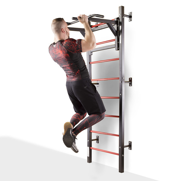 DWL9867 MULTIFUNCTIONAL LADDER HMS