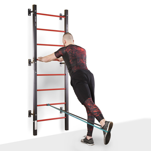 DWL9867 MULTIFUNCTIONAL LADDER HMS