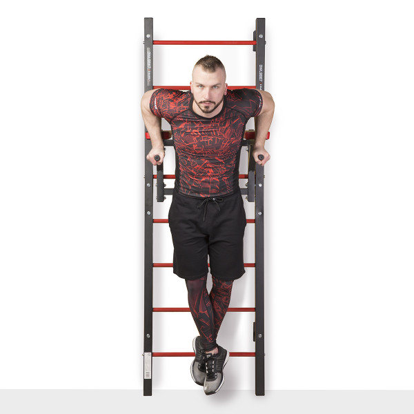 DWL9867 MULTIFUNCTIONAL LADDER HMS