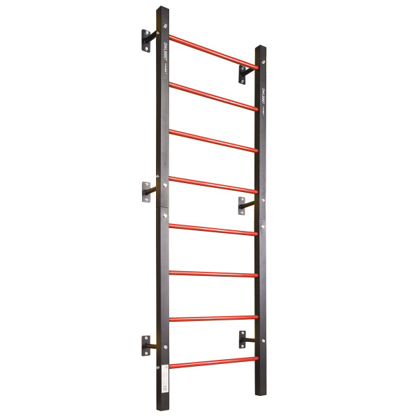 DWL9867 MULTIFUNCTIONAL LADDER HMS