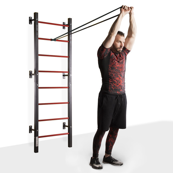 DWL9867 MULTIFUNCTIONAL LADDER HMS