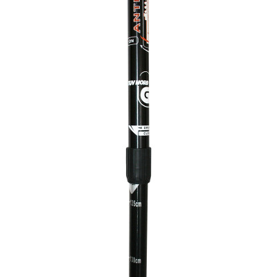 TK305 TREKKING POLES NILS