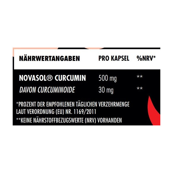 Big Zone NovaSol® Curcumin 90 Liquid Kapseln