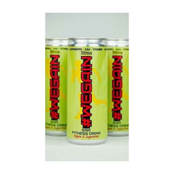 WEGAIN EAA Drink Birne - 24x330ml