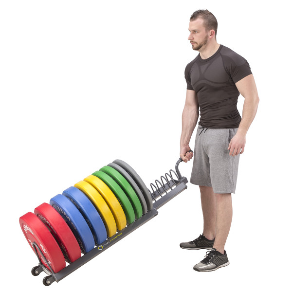 TRANSPORTSTÄNDER FÜR HANTELSCHEIBEN HMS PREMIUM