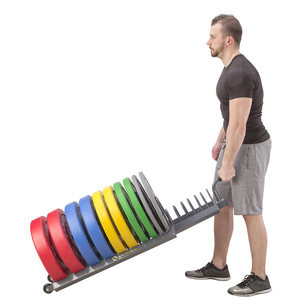 TRANSPORTSTÄNDER FÜR HANTELSCHEIBEN HMS PREMIUM