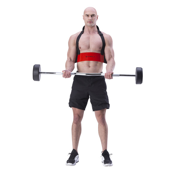 ARM-BLASTER GERÄT ZUM BIZEPSTRAINING HMS