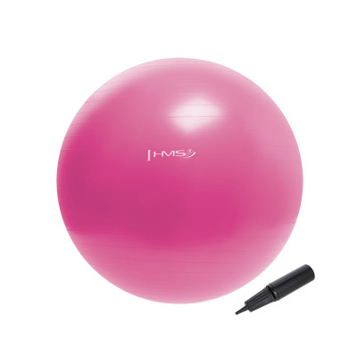 55CM PINK GYMNASTIKBALL HMS
