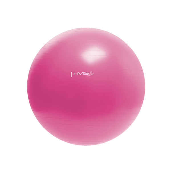 55CM PINK GYMNASTIKBALL HMS