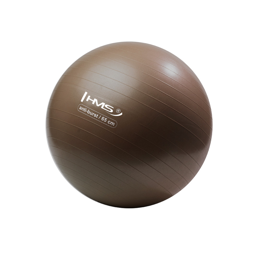 65CM GRIZZLY BRAUN ANTI-BURST GYMNASTIKBALL HMS