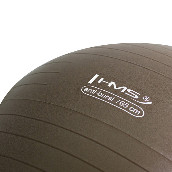 65CM GRIZZLY BRAUN ANTI-BURST GYMNASTIKBALL HMS