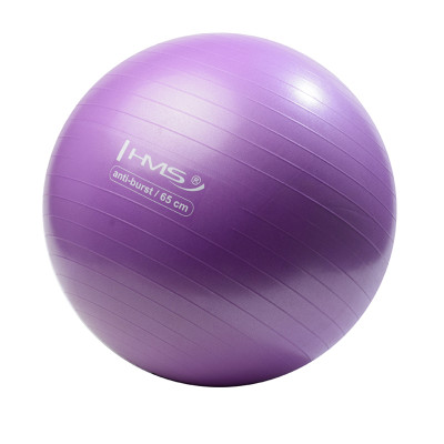 65CM PURPLE ANTI-BURST GYMNASTIKBALL HMS