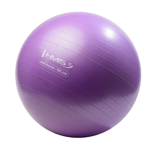 65CM PURPLE ANTI-BURST GYMNASTIKBALL HMS