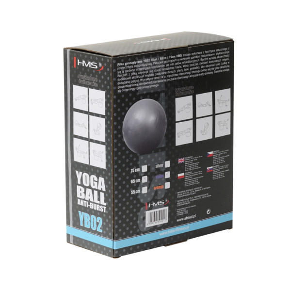 65CM PURPLE ANTI-BURST GYMNASTIKBALL HMS