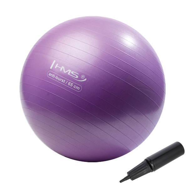65CM PURPLE ANTI-BURST GYMNASTIKBALL HMS