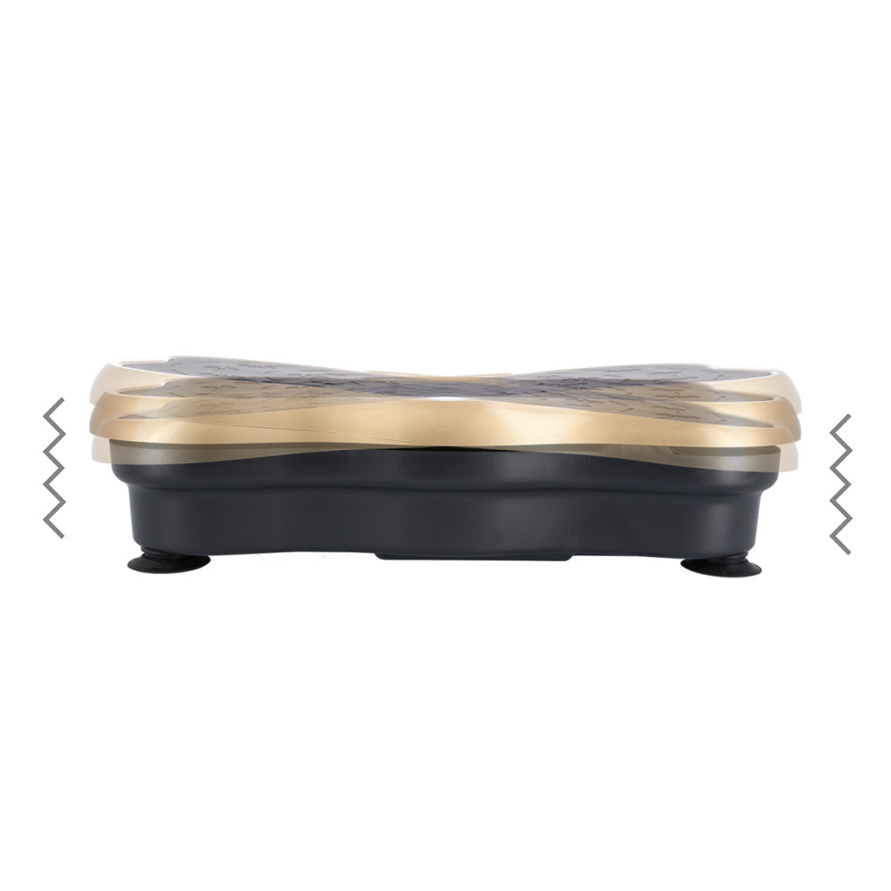 GOLD VIBRATIONSPLATTE HMS