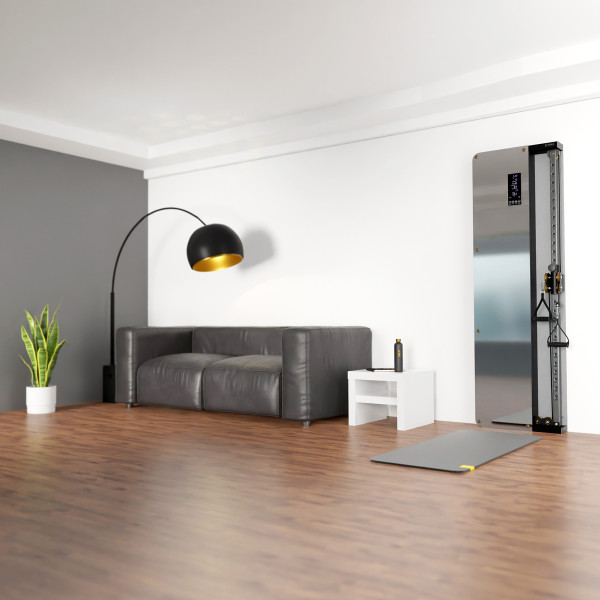 KRAFTSTATION MIT GEWICHTSBLOCK UND PNEUMATISCHEM WIDERSTAND COMMERCIAL HMS