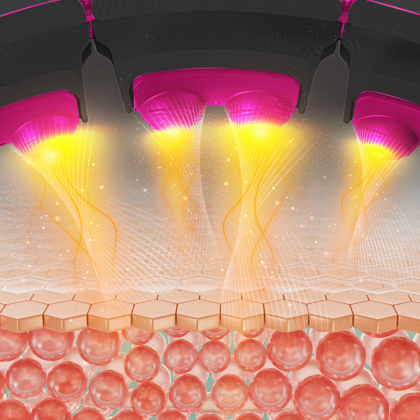 HULA HOOP SCHWARZ/PINK MIT MAGNETEN, GEWICHT UND ZÄHLER HMS