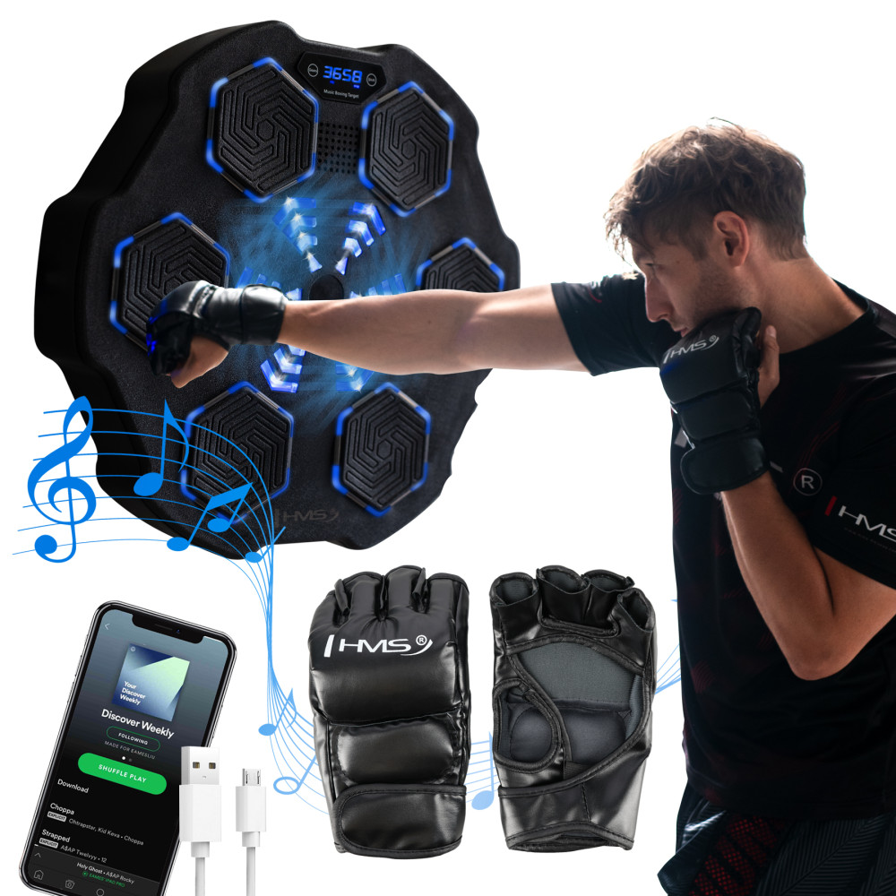 ELEKTRONISCHE BOXWAND BLUETOOTH MIT MUSIK UND HANDSCHUHEN HMS