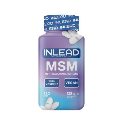 INLEAD MSM + Vitamins 120 Kapseln
