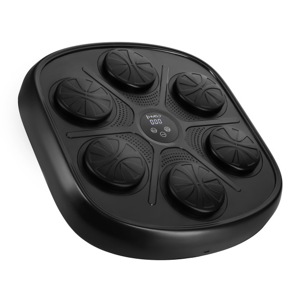 ELEKTRONISCHE BOXWAND BLUETOOTH MIT MUSIK UND HANDSCHUHEN HMS